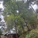 양평밸리관광펜션 | [양평펜션]양평밸리관광펜션 가을 단풍 보러 다녀왔어요