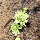 기운농장 이미지