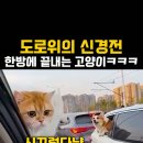 Ed Sheeran - South of The Border 이미지