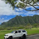 형성팜 | [광주 여행사 추천] 팜투어 광주 &amp; 순천 신혼여행 계약후기 | 광주 허니문 팜투어