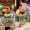 D&H웰빙랜드 | 에버랜드 사파리 큐패스 구매방법 스페셜투어 예약 버스 자리 명당