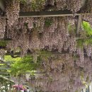 순천동산중학교 이미지