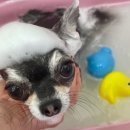 마음이네 멍발소 이미지