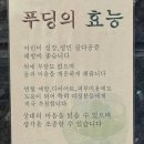 현실도피자(Life is also a pizza)의여행
