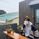 우야