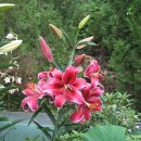 행복한하루 이미지