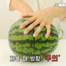 수박씨