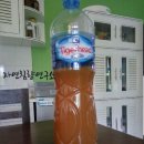자연침향연구소