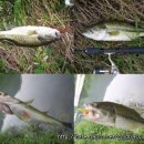 청도천7 이미지