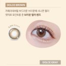 다비치안경중리네거리점 이미지