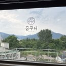 꾸니베어 네이버블로그