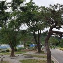 태봉초교병설유치원 이미지