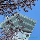 코엔디자인 - 남구 | 하코다테여행 별모양등대 고료가쿠타워 입장시간 금액 예약 후기