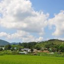 태촌마을 이미지