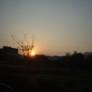 산바라기마을 이미지