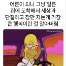 디짐 이미지