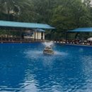 관광농원가든 | 기찬 관광농원(기찬 가든, 경기 용인)