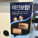 키즈파파치과 | [치과] 서울키즈파파 미금 어린이 청소년 초등아이 충치 레진 가격 실란트 보험 적용 금액 유필준 원장님