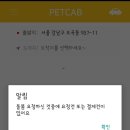 펫캡 이미지