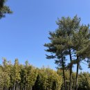 대한목장 | 제주 카페_대한 목장 내돈내먹 솔직 후기