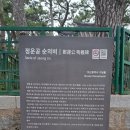 정운공순의비 이미지