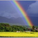 오색무지개 이미지