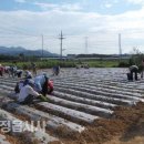 소성면사무소 이미지