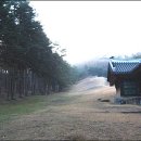 조선예가 이미지