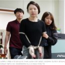 법무법인이유
