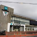 제주동물메디컬센터 네이버블로그