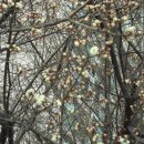 보건소옆 이미지