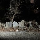 드럼통고양이 | 2025년 11/21~11/23 남한산성캠핑장 2박3일 A09 파쇄석 사이트 오토캠핑 후기