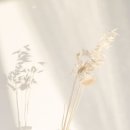 온브로우
