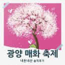 지에스25광양매화 | 아쉬웠던 광양 매화 축제 내돈내산 솔직후기