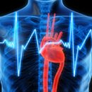 메이트 피티 이미지