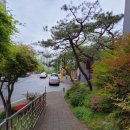 커피와 담배 이미지