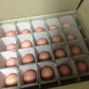 뜨레난농장 이미지