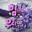 '럭셔리(클럽)칼럼#개그맨.강성범.이것이.법과원칙인가.' 보기 이미지