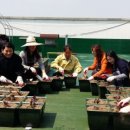 덕진구청 이미지