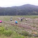 평화남산동주민센터 이미지