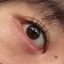 호랑이안과의원 이미지