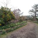 초가정원 이미지