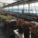 신내농장 이미지