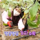 신성농장 이미지