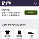 헤이판다