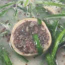 오라순대
