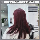 현대시.디 | 일산 라페스타 미용실 아트디헤어 수지 실장님 염색 후기