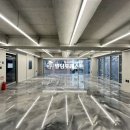 강남-172 이미지