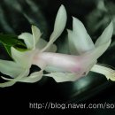 강희농장 이미지