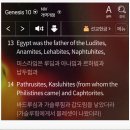 하윌라(Havilah) 이미지